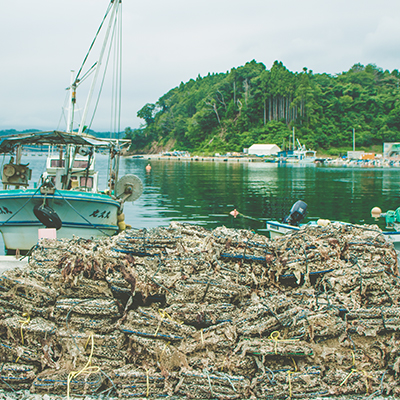 fishing port/唐桑（漁港）